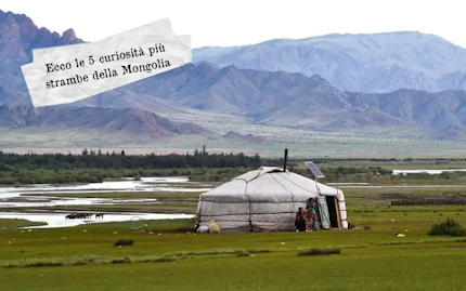 Ecco le 5 curiosit  pi  strambe della Mongolia